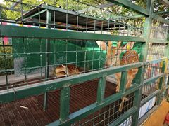 -观澜湖生态运动公社