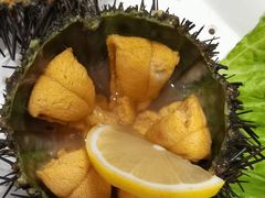-东辰望海鱼码头·海鲜餐厅