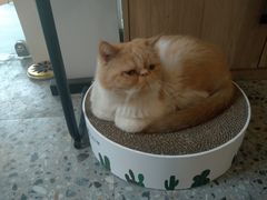 -外南梦咖啡馆
