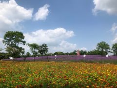 -同里国家湿地公园