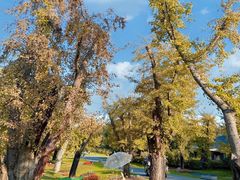 -南京银杏湖乐园