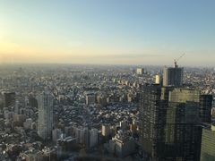-东京都厅舍