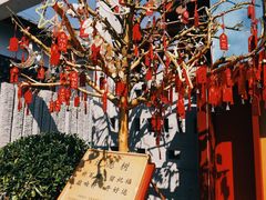 -晋江五店市传统文化旅游区