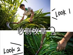 -郴州特产舜华临武鸭(郴州西站店)