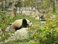 -武汉动物园