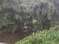-重庆彩云湖湿地公园