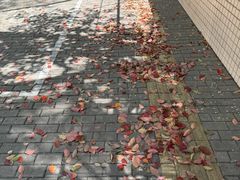 -上海新国际博览中心城际酒店