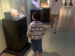 -中华赏石园
