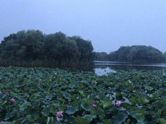 -上海市保健医疗中心