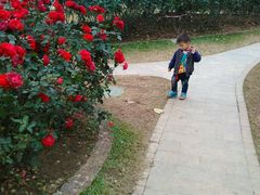 -人民公园(罗湖区)