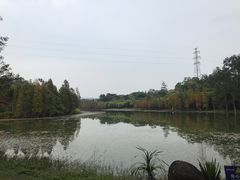 -华南国家植物园-售票处