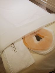 -奥斯芬欧系贵族SPA