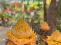 -国家植物园南园