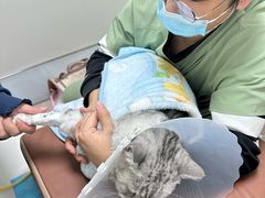 -达爱动物医院·犬猫分区·CT·复杂眼科(远洋山水分院)