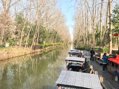 -合肥滨湖国家森林公园