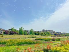 -两河城市森林公园