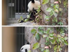 -北京动物园