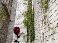 -华谊兄弟（长沙）电影小镇