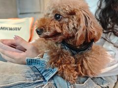 -E+有冰工厂·昆仑寒宫2(五角场店)