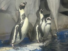 -太平洋海底世界