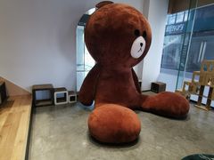 -瞄一喵猫咖(格力海岸店)