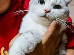 -久久宠物(河东万达店)