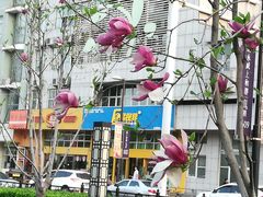 -经纬广场