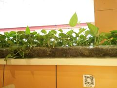 -七恭冒菜(工农村店)