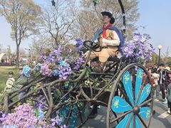-荷兰花海