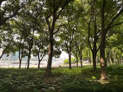 -北外滩滨江绿地
