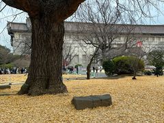 -东京国立博物馆