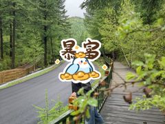 -苏木山森林公园