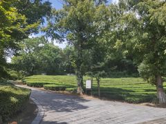 -敬亭山风景名胜区