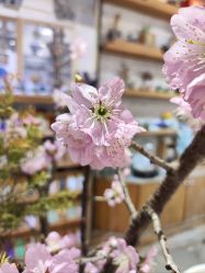 -今日陶艺(富力广场店)