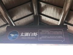 -太湖湖滨国家湿地公园-停车场