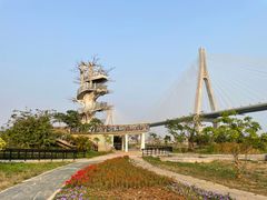 -芒洲湿地公园