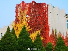 -辽宁大学(崇山校区)