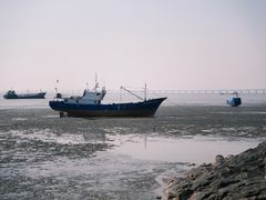 -平湖九龙山旅游度假区