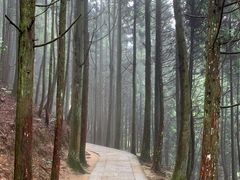 -井冈山风景名胜区-黄洋界