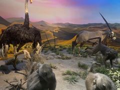 -国家自然博物馆