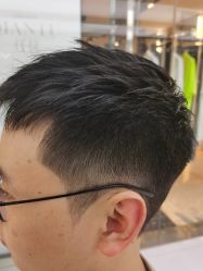 点击看大图 -金棕榈