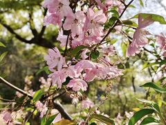 -蜀冈西峰生态公园