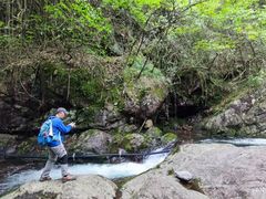 -东天目山风景区
