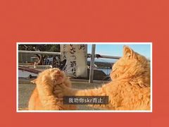 -啊噗吐呦现场烘焙(麦凯乐店)