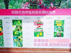 -呀路古热带植物园