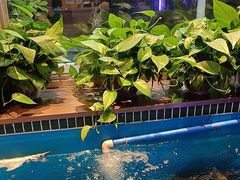 -老关东铁锅炖(上游街店)