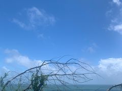 -广东惠东海龟国家级自然保护区