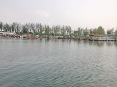 -白洋淀景区