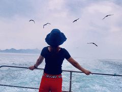 -海驴岛(荣成市)