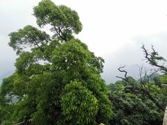 -青城山